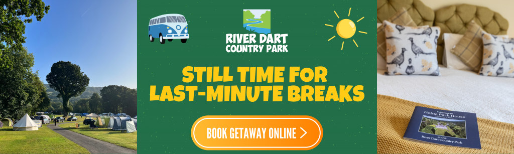 Last minute getaways at River Dart Country Park